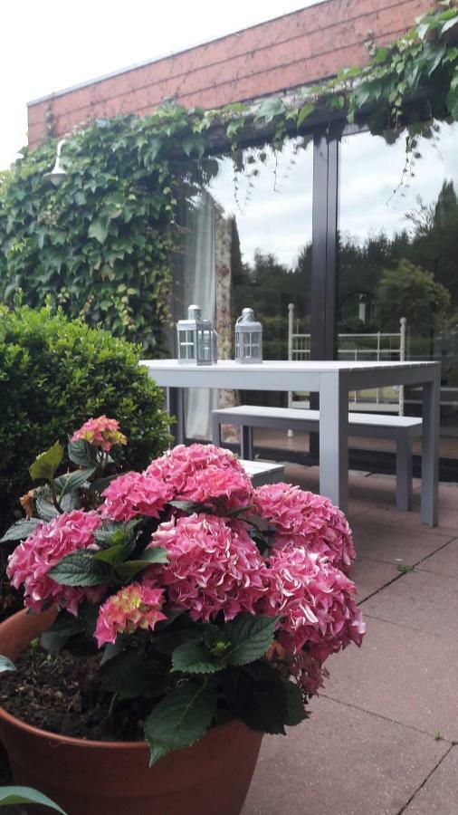 Wiehen Inn Heddinghausen المظهر الخارجي الصورة